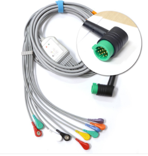 心電導聯(lián)線(xiàn)/心電圖導聯(lián)/- -體心電導聯(lián)
